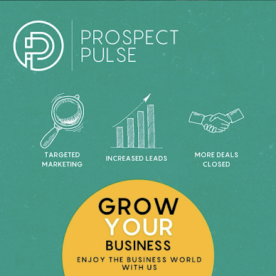 Prospect Pulse - Digital Marketing